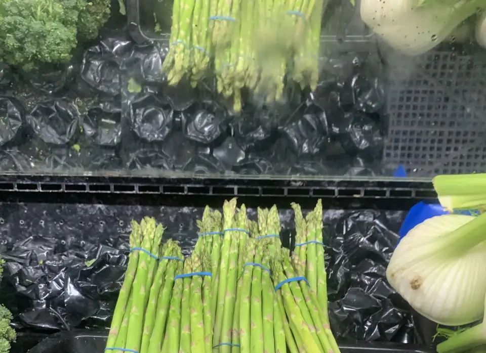 Bunches of asparagus in the shop’s cold case