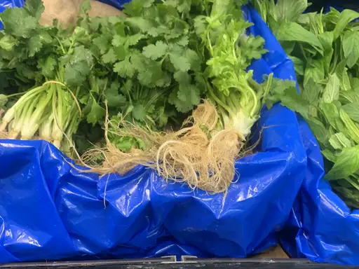 Coriander at The Fruit Basket