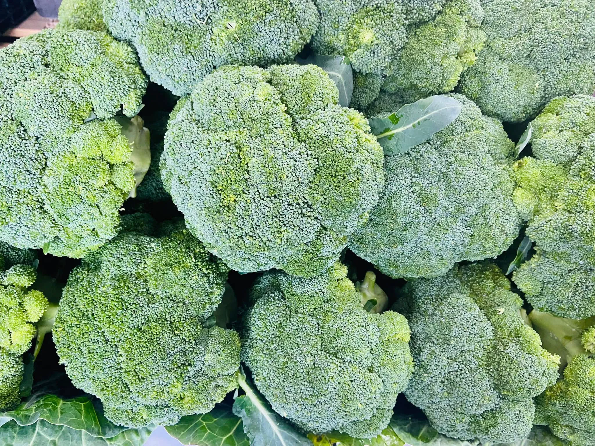 Tight green vegetables in close-up showing texture
