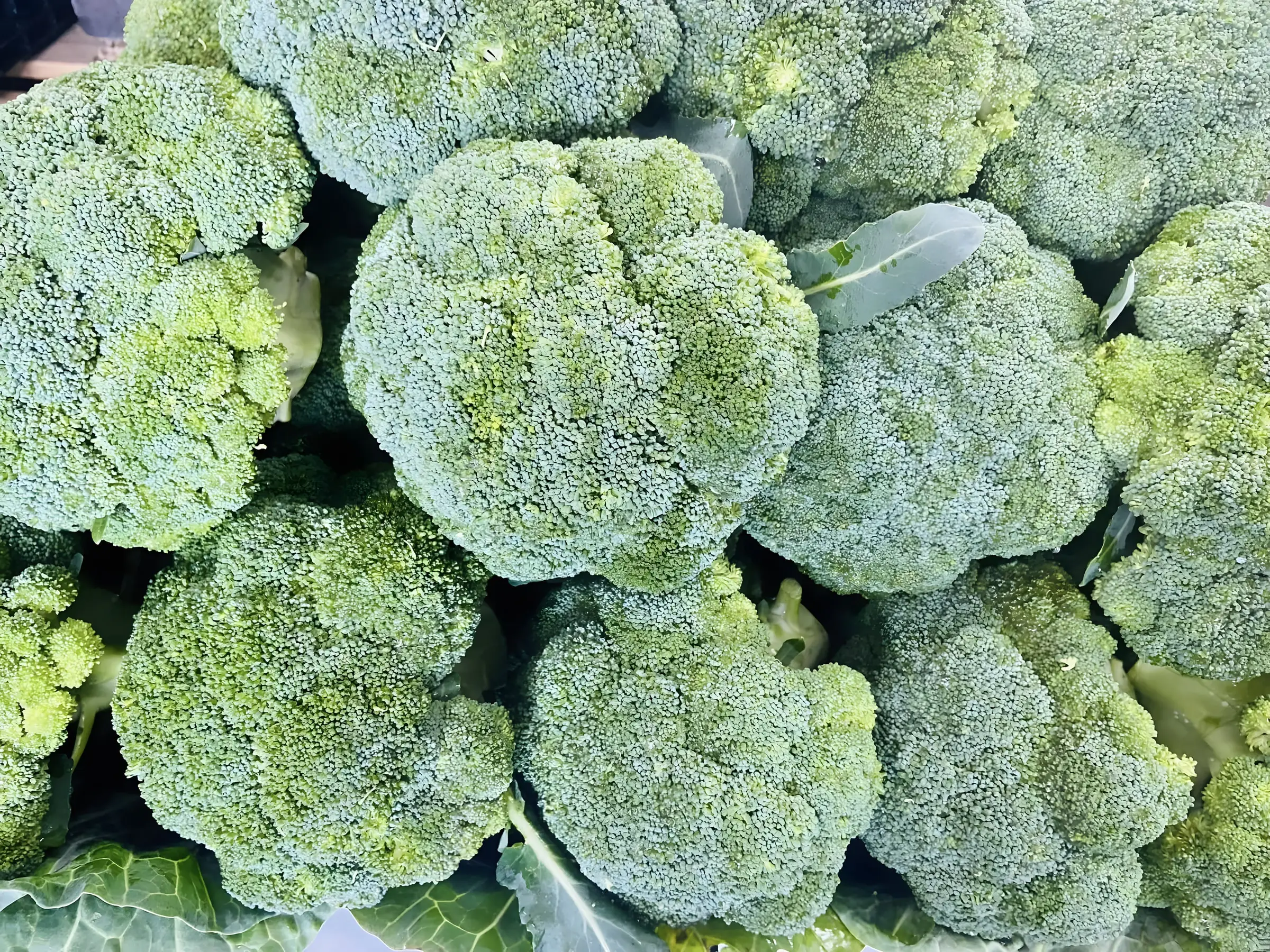 Tight green vegetables in close-up showing texture