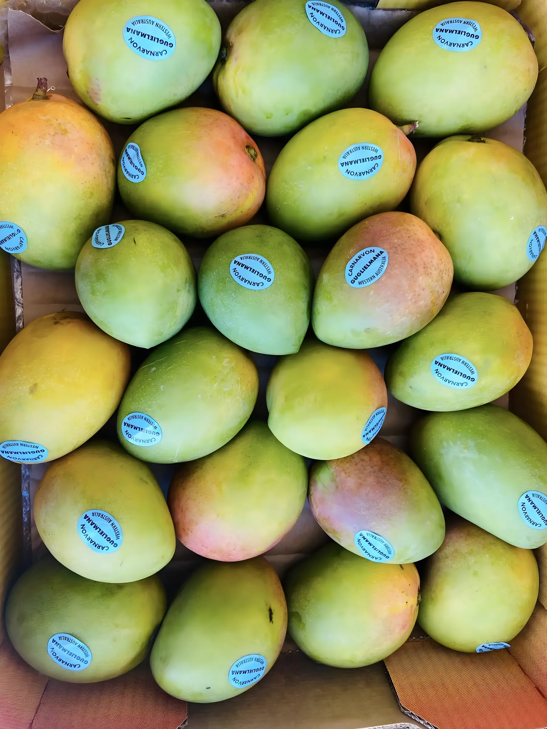 Honey gold mangoes packed in a tray