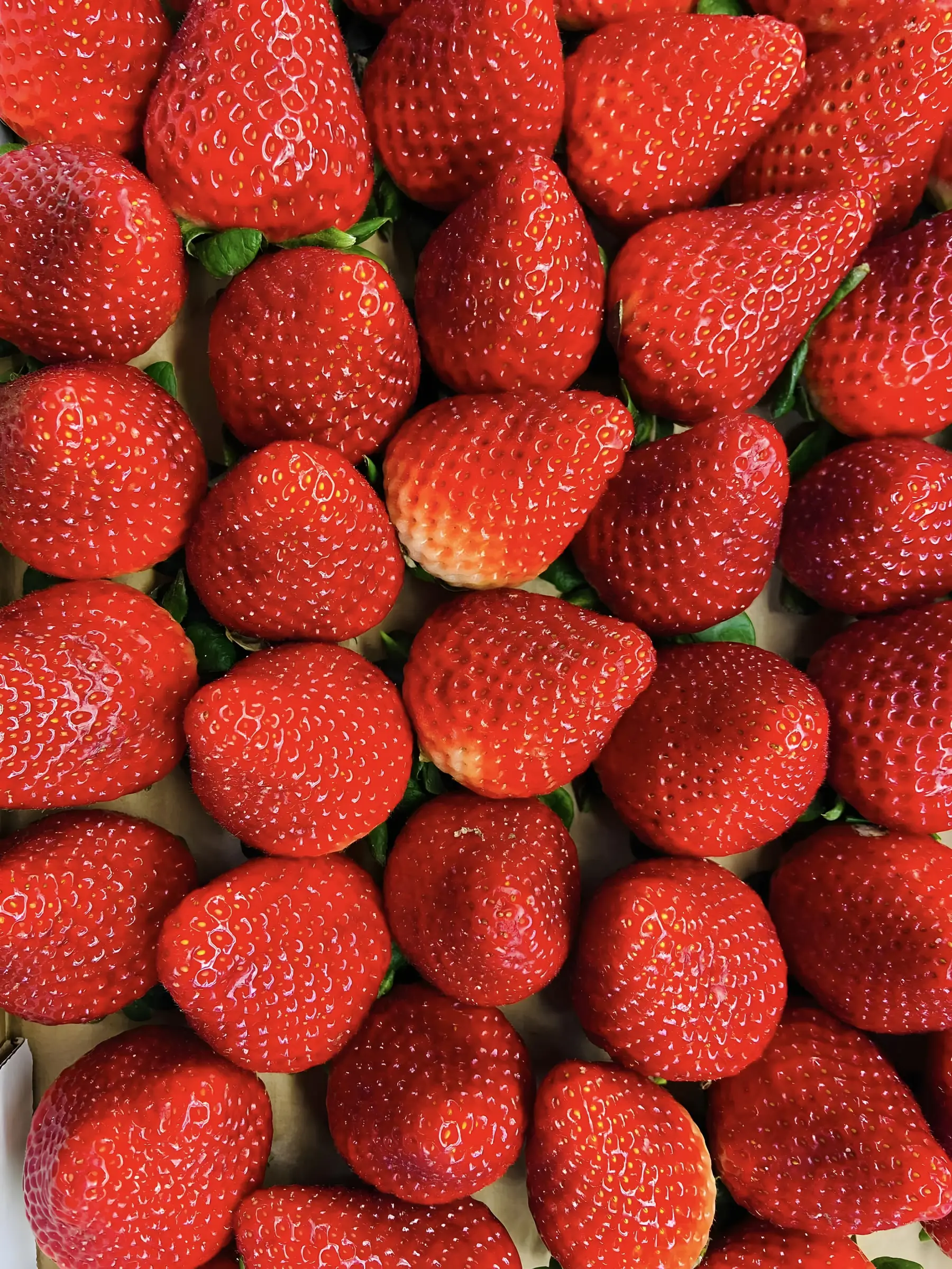 Macro of fresh strawberries packed tight, in this morning