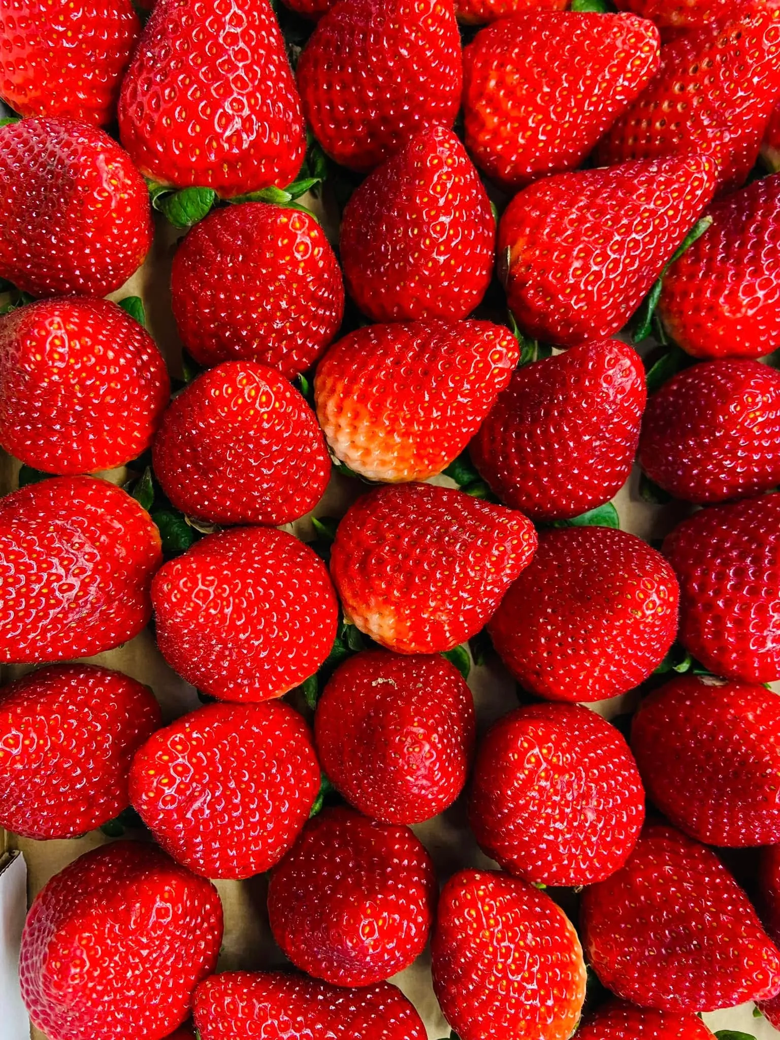 Macro of fresh strawberries packed tight, in this morning