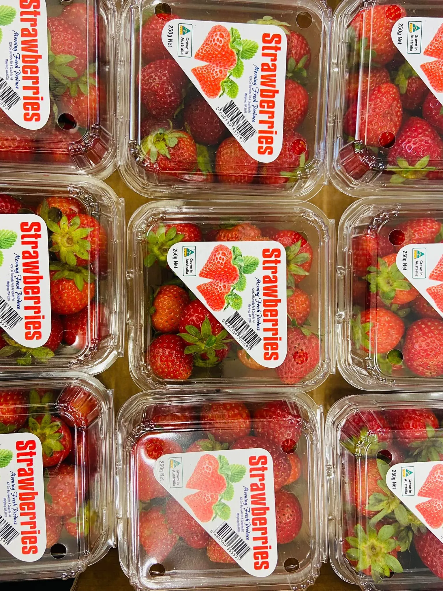 WA strawberry punnets stacked, labels facing up