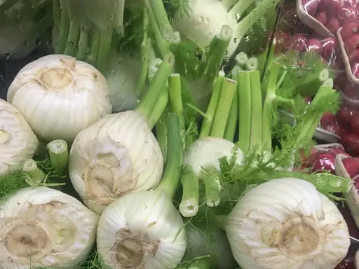 Fennel at The Fruit Basket