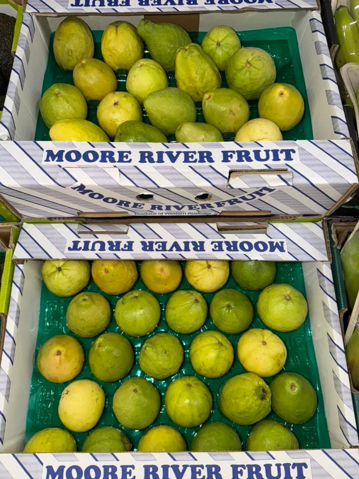 Branded guava boxes with fresh whole fruits displayed at the shop