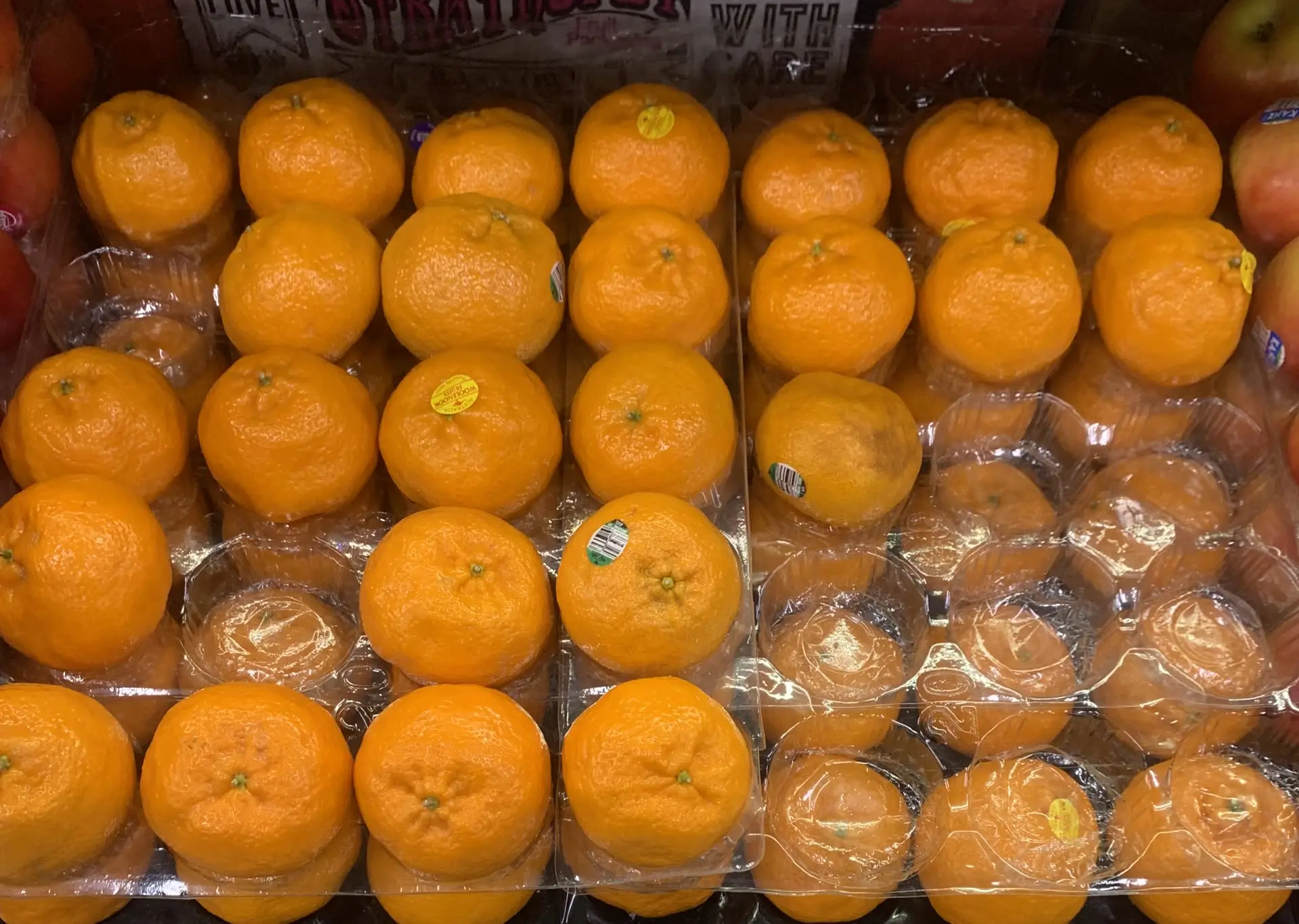 Trays of imperial mandarins lined up on the fruit wall