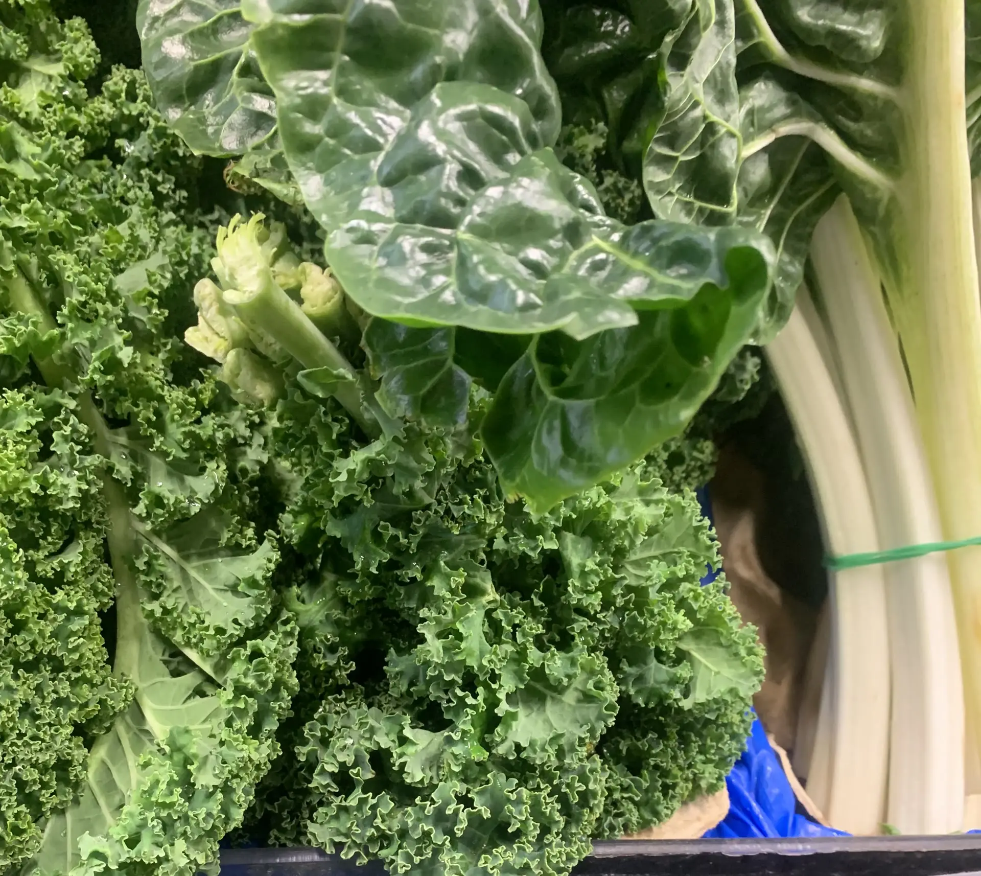 Fresh kale bunches in the crate