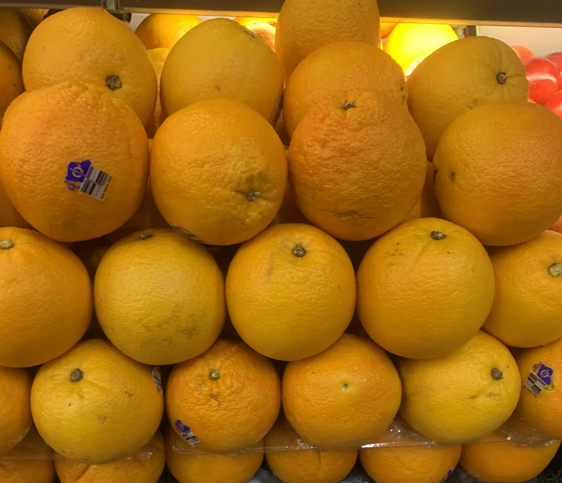 Navel oranges stacked high on the fruit wall