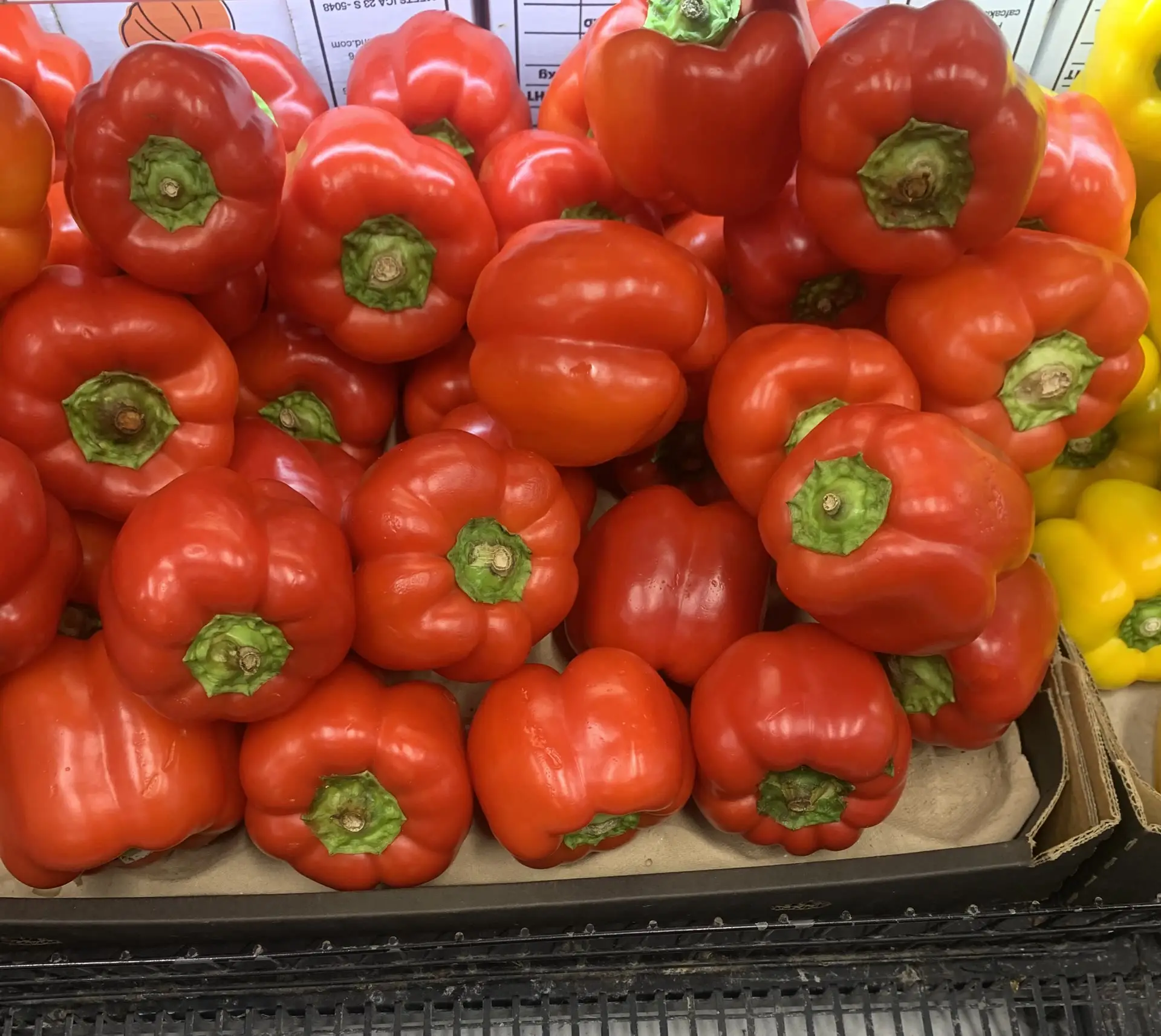 Bright red capsicums stacked on the display