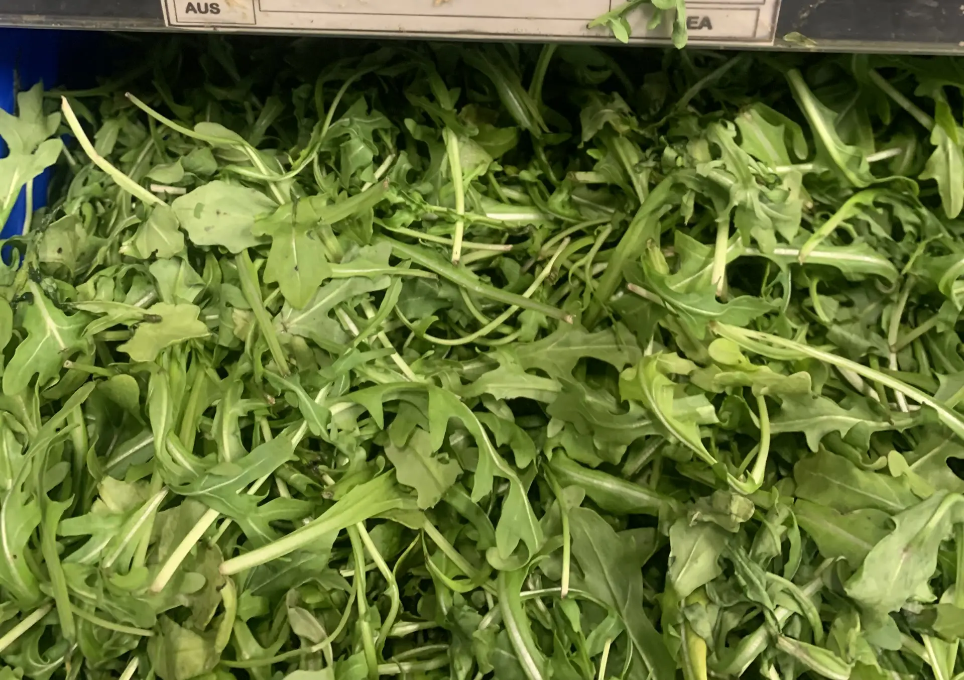 Loose rocket leaves piled fresh on the bench