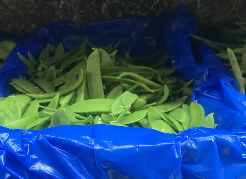Snow peas loose in a crate on the bench