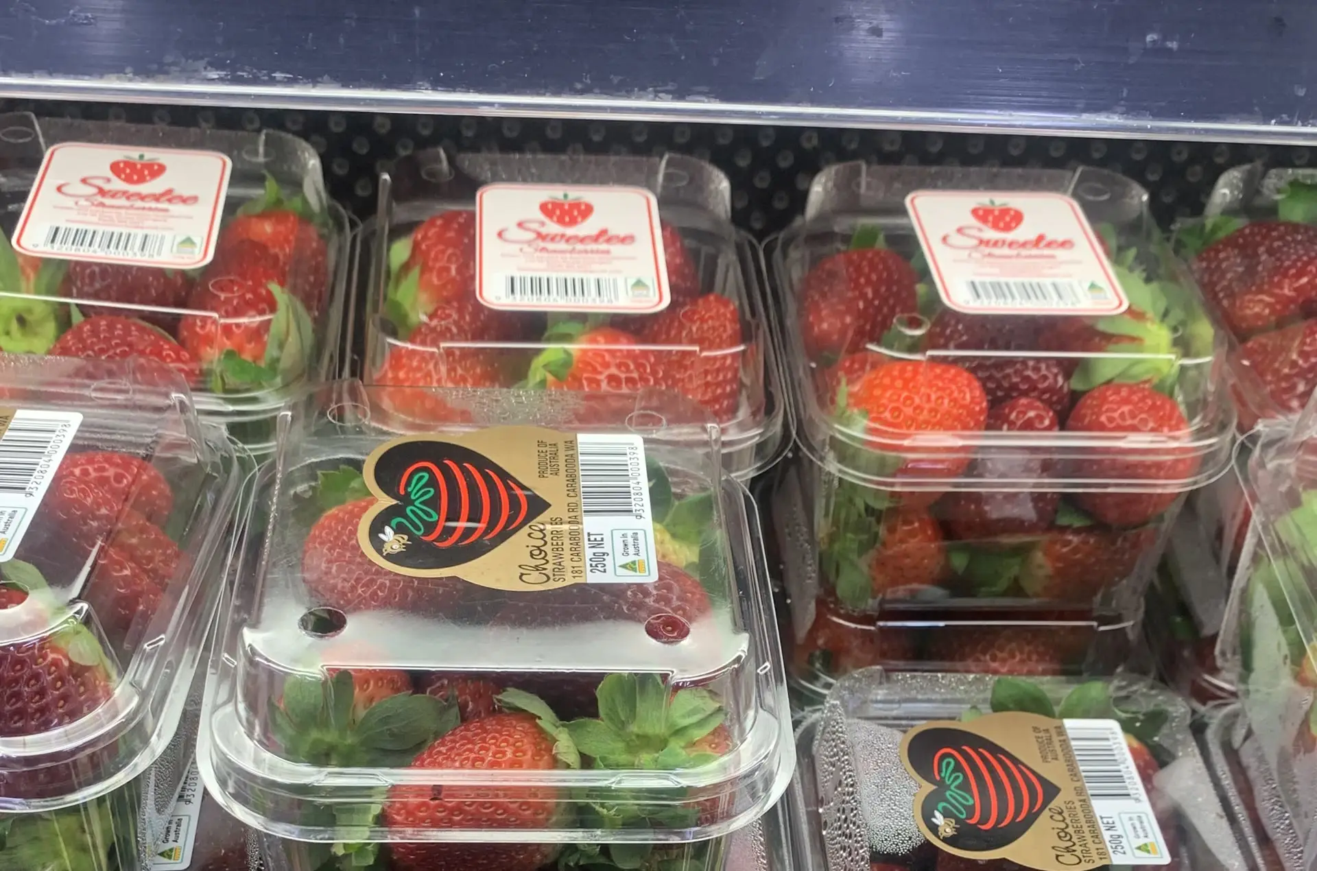 Punnets of fresh WA strawberries stacked in the refrigerated case