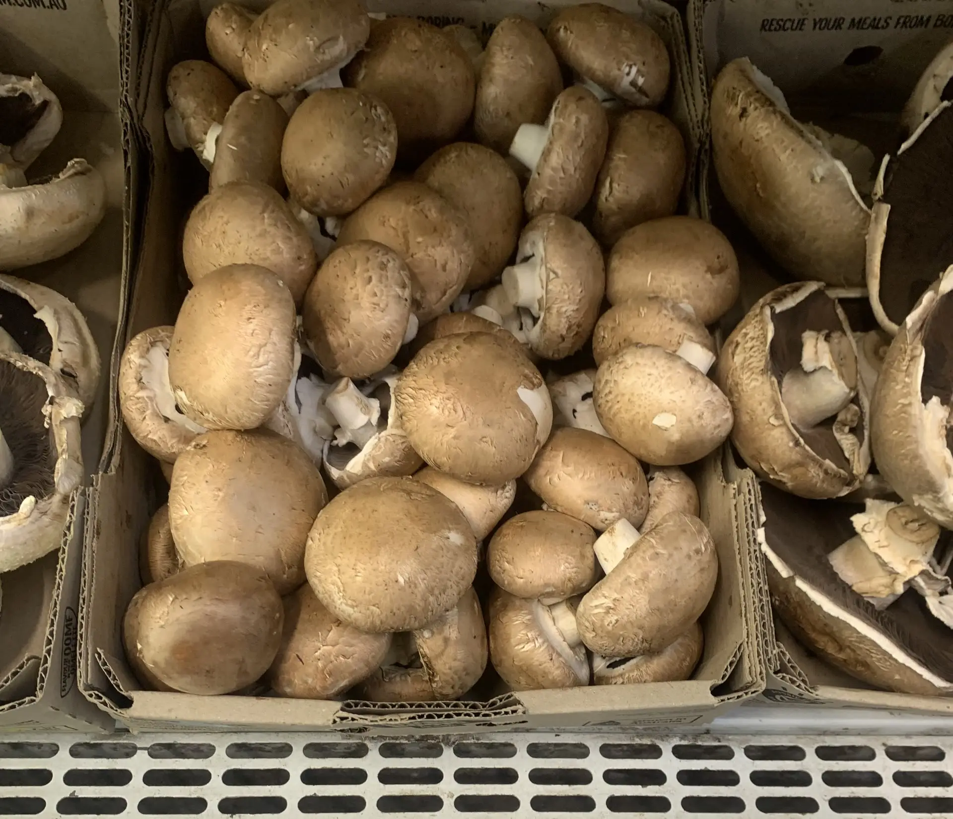 Box of swiss brown mushrooms on the veg bench