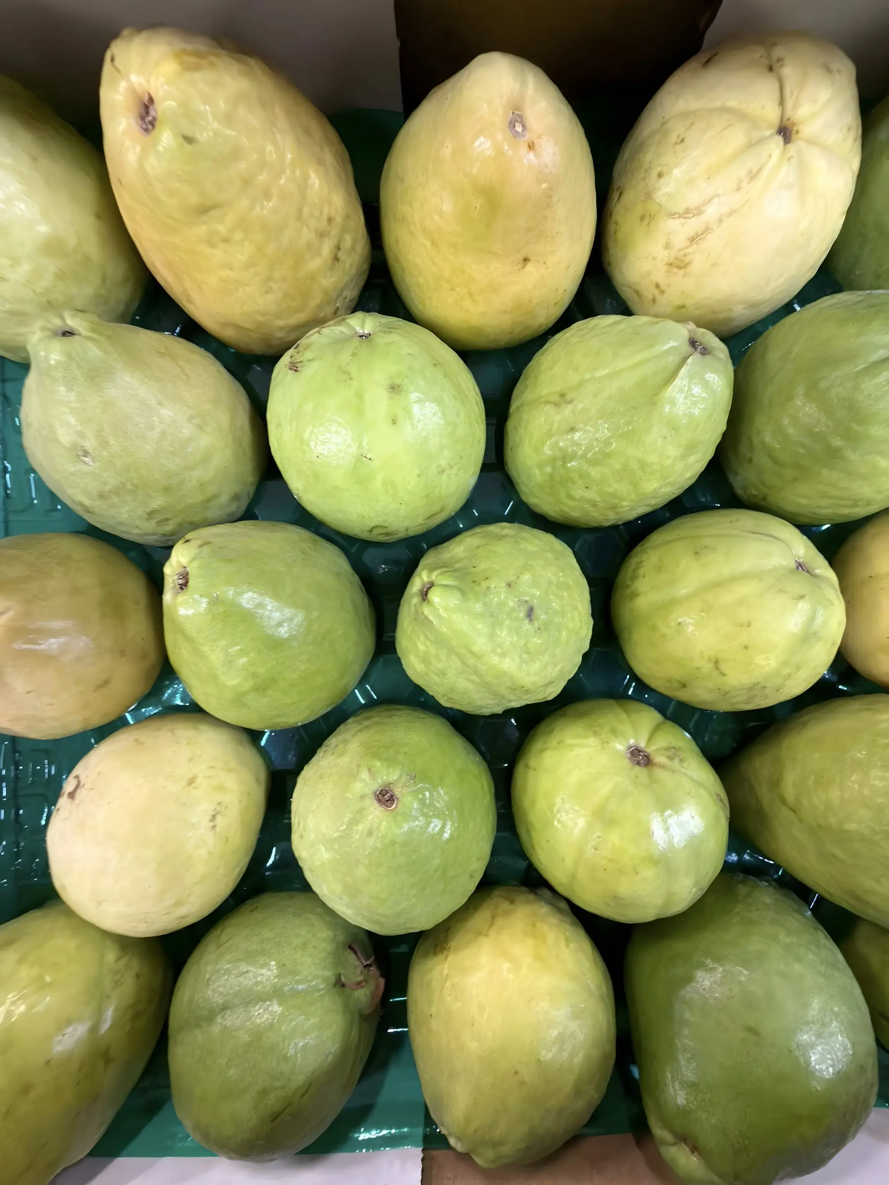 Yellow tropical mangoes neatly displayed at the shop